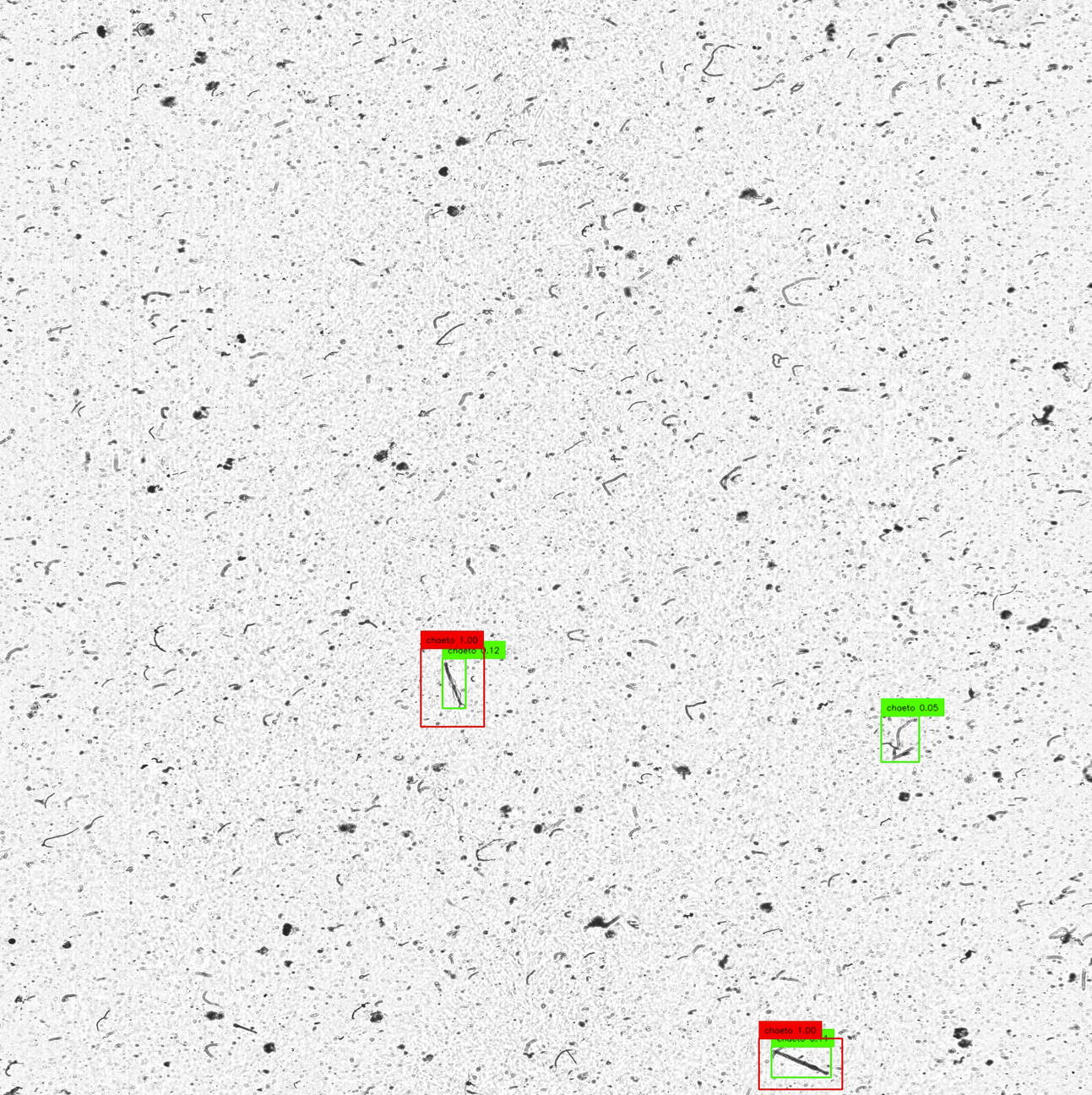 GroundingDINO example