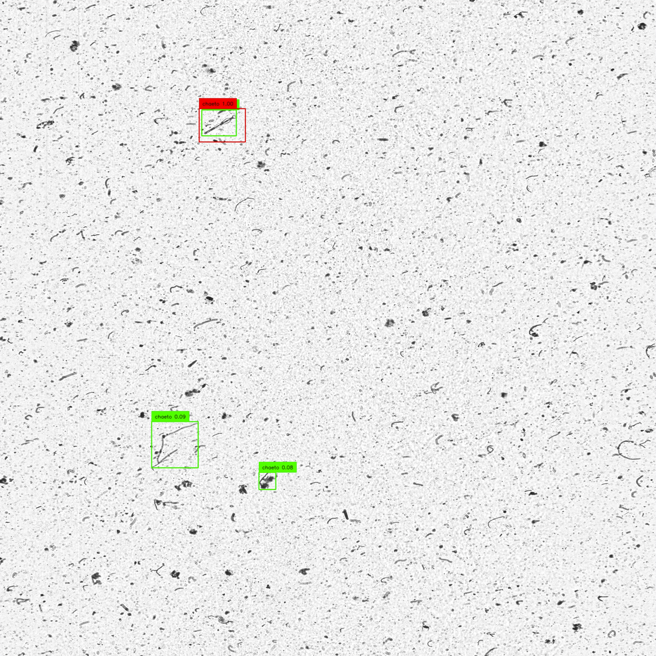 GroundingDINO example