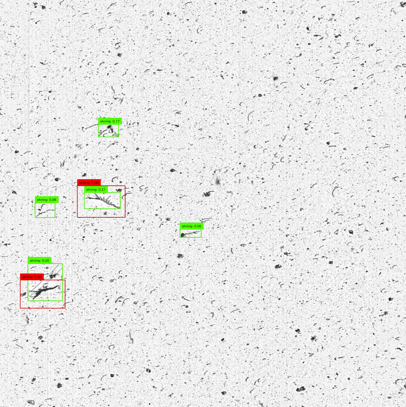 MGroundingDINO example