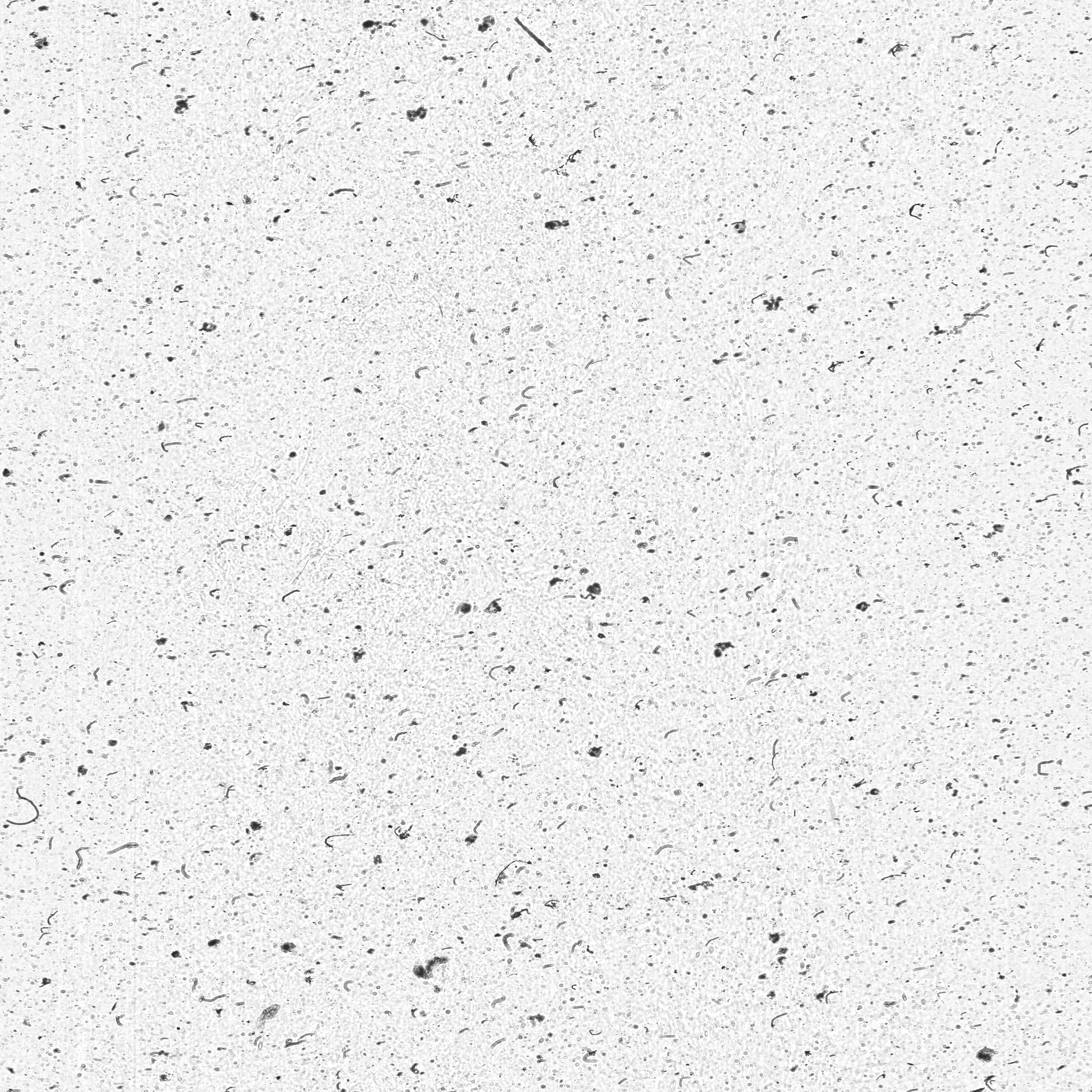 raw data 1