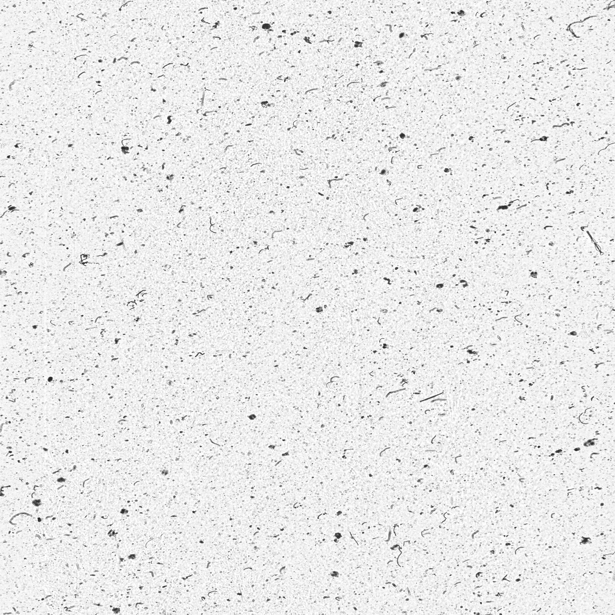 raw data 2