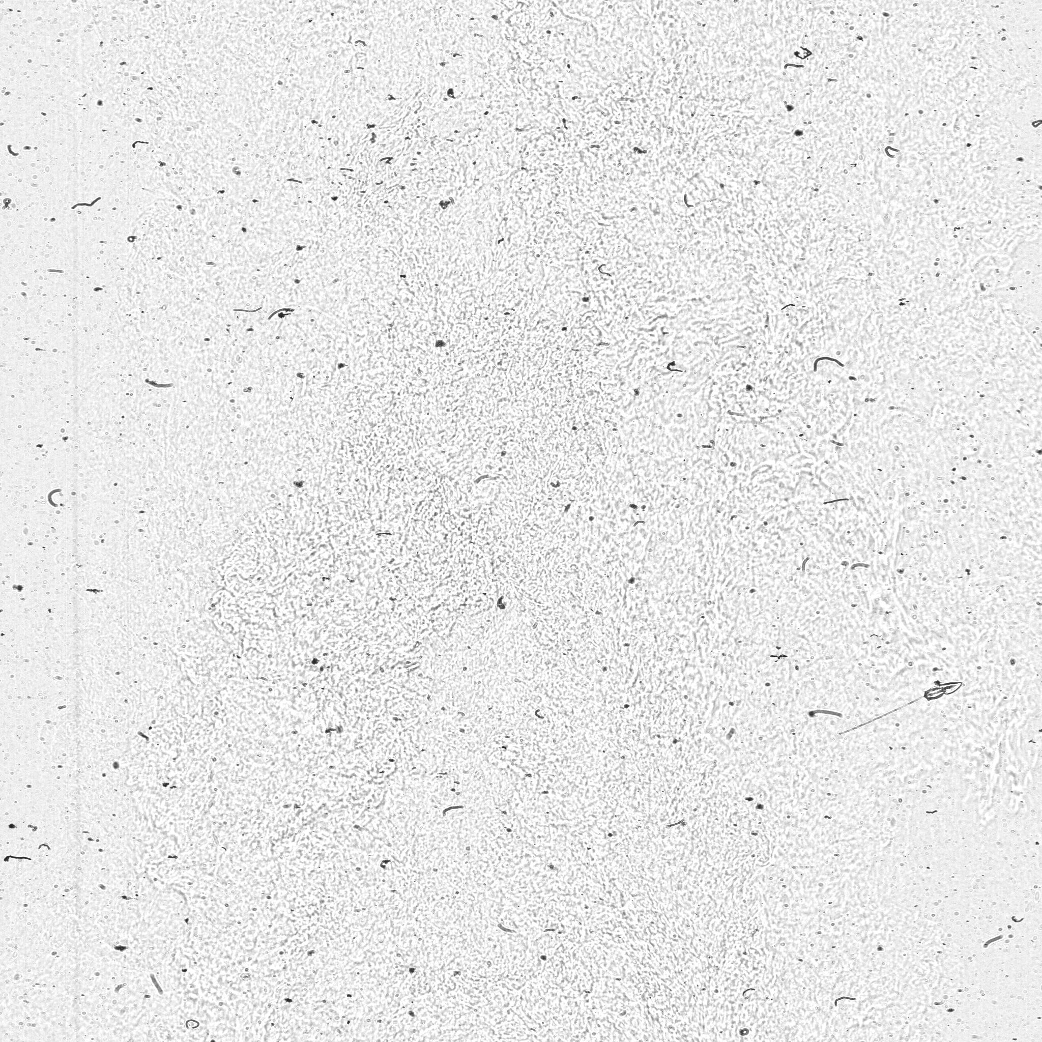 raw data 3