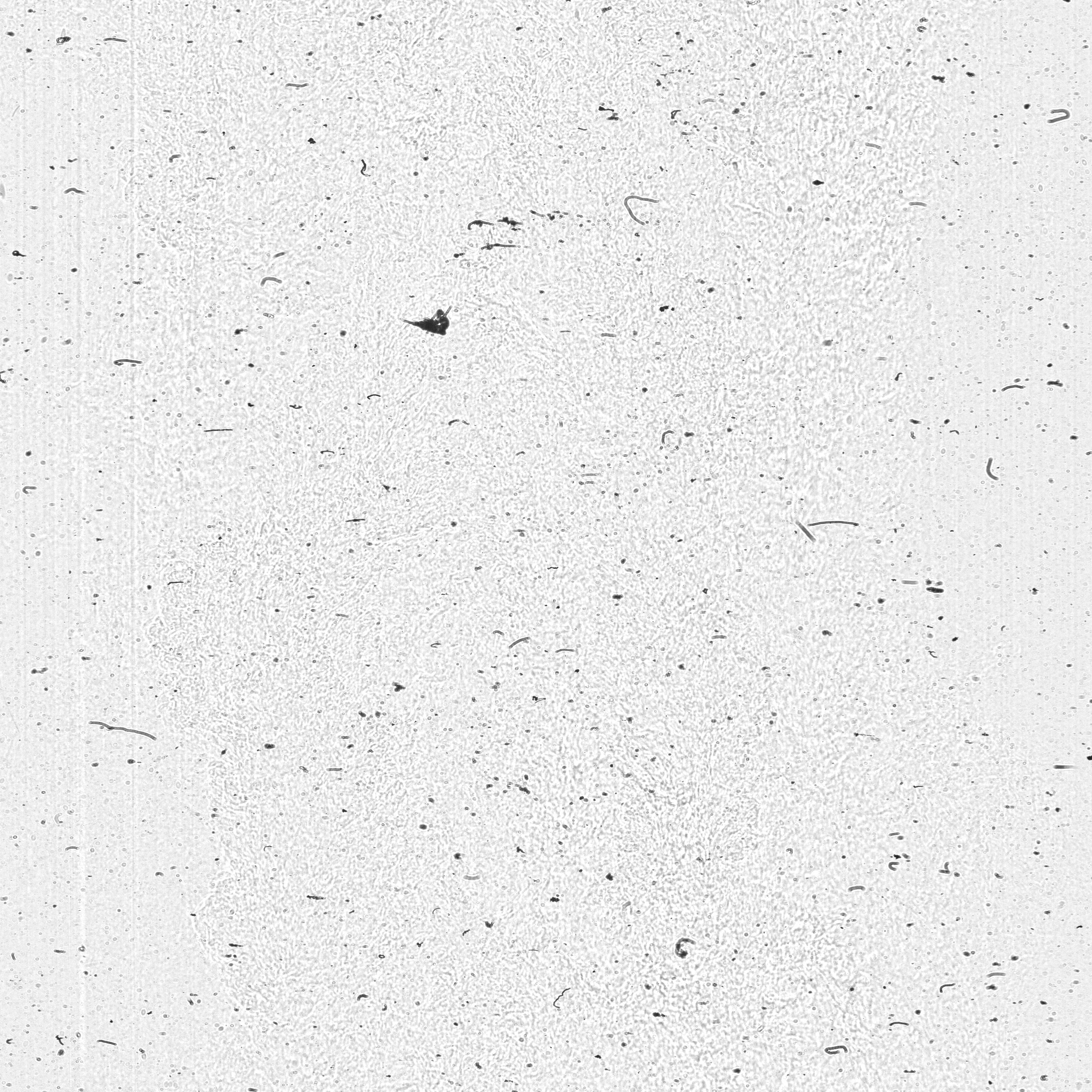 raw data 4