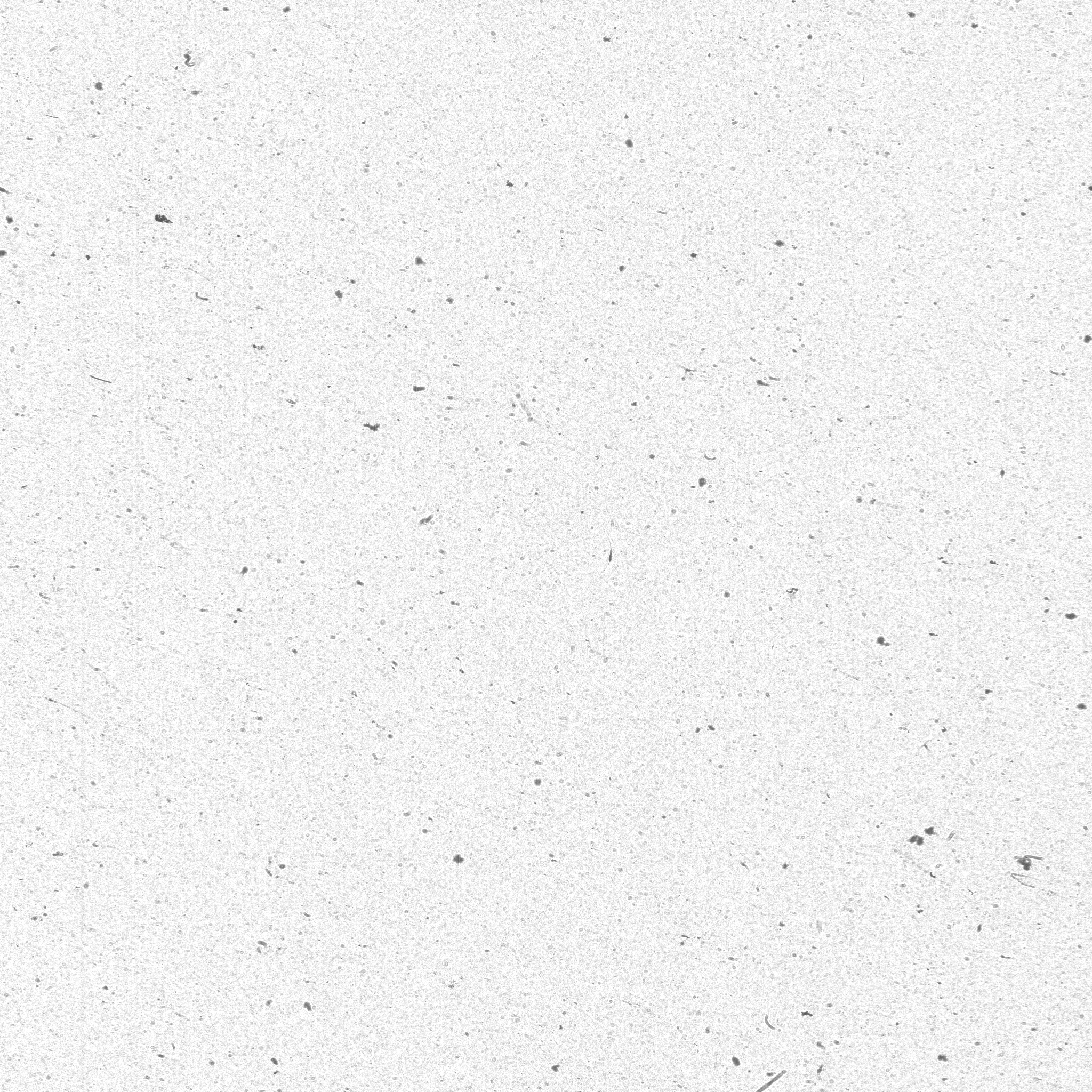 raw data 5