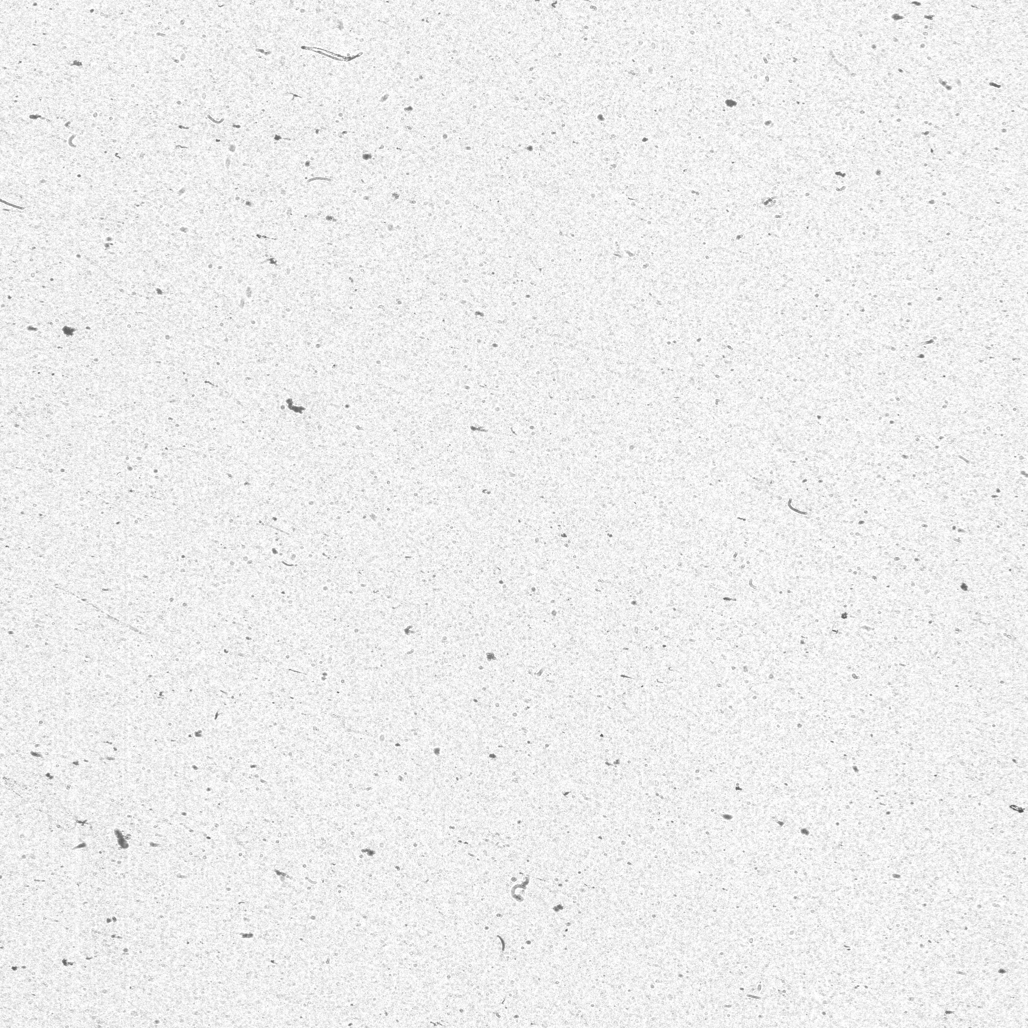 raw data 6